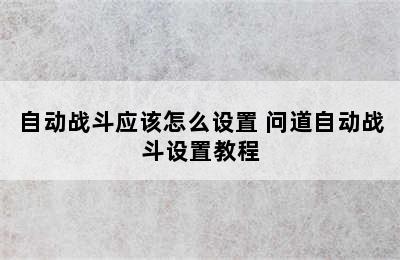 自动战斗应该怎么设置 问道自动战斗设置教程